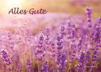 Grusskarte_Doppel_Lavendel